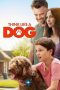 Nonton Film Think Like a Dog (2020) Nonton Film Think Like a Dog (2020)