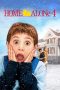 Nonton Film Home Alone 4 (2002)
