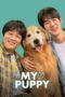 Nonton Film My♡Puppy (2023) Nonton Film My♡Puppy (2023)